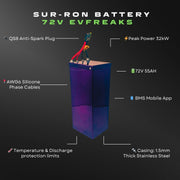 EVF Dominator 72v55ah Battery / SUR-RON Light Bee - EVFREAKS